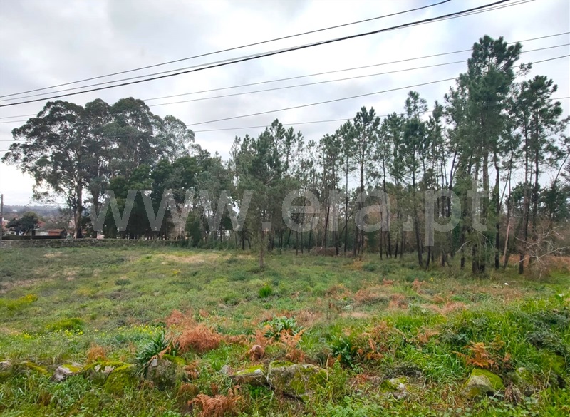 Terreno para Construção  Viana do Castelo, Anha - 1377186 - 4