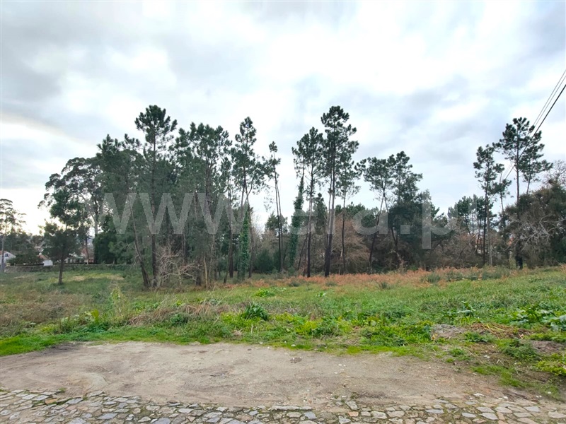 Terreno para Construção  Viana do Castelo, Anha - 1377186 - 5