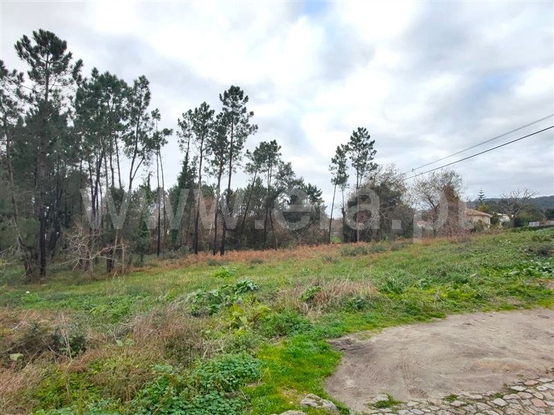Terreno para Construção  Viana do Castelo, Anha - 1377186 - 6