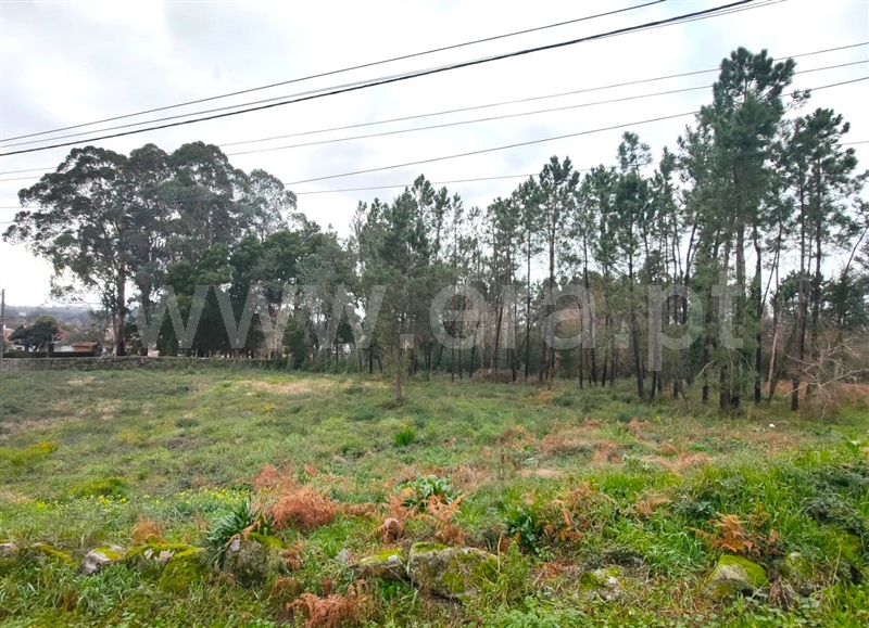Terreno para Construção  Viana do Castelo, Anha - 1377186 - 8