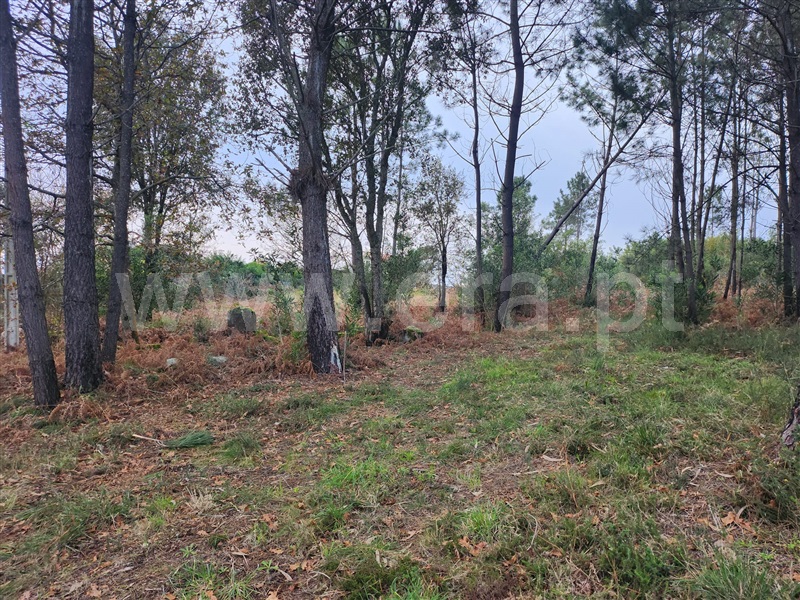 Terreno para Construção / Viana do Castelo, Anha