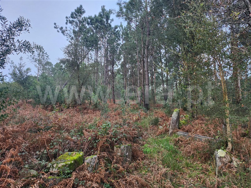 Terreno para Construção  Viana do Castelo, Anha - 1457472 - 3