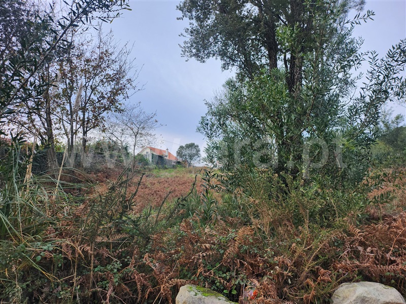 Terreno para Construção  Viana do Castelo, Anha - 1457472 - 4