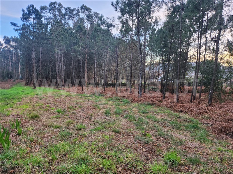 Terreno para Construção  Viana do Castelo, Anha - 1457472 - 5