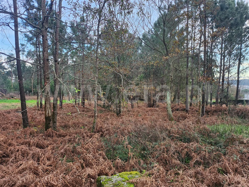 Terreno para Construção  Viana do Castelo, Anha - 1457472 - 6