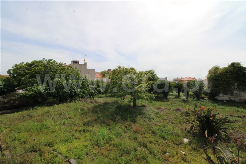 Terreno para Construção  Viana do Castelo, Areosa - 1174141 - 3