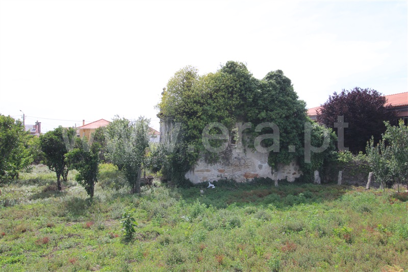 Terreno para Construção  Viana do Castelo, Areosa - 1174141 - 5