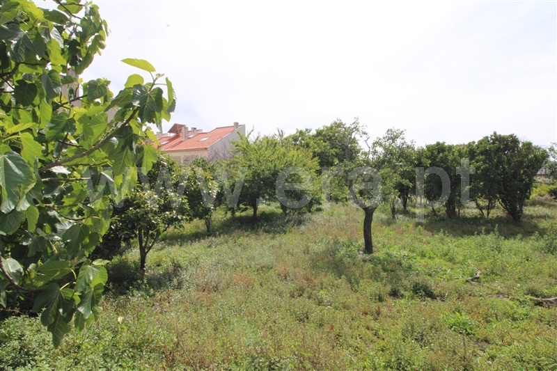 Terreno para Construção  Viana do Castelo, Areosa - 1174141 - 7