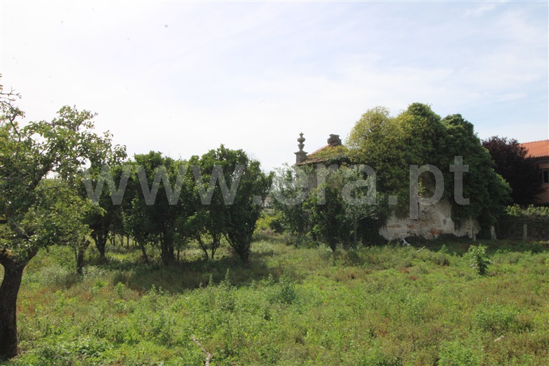 Terreno para Construção  Viana do Castelo, Areosa - 1174141 - 8