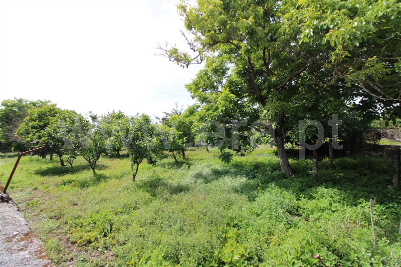 Terreno para Construção  Viana do Castelo, Areosa - 1174141 - 9