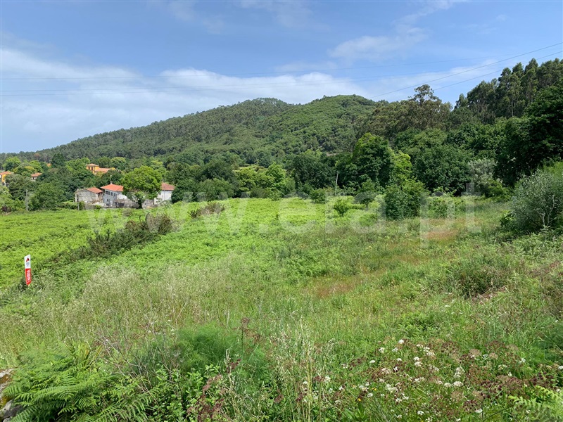 Terreno para Construção  Viana do Castelo, Areosa - 1174311 - 5