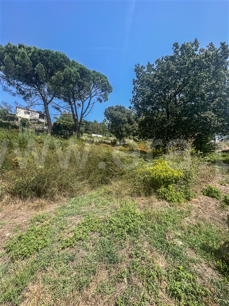 Terreno para Construção  Viana do Castelo, Barroselas e Carvoeiro - 1349531 - 7