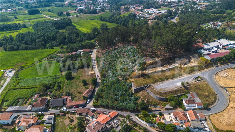 Terreno para Construção  Viana do Castelo, Barroselas e Carvoeiro - 1496009 - 3