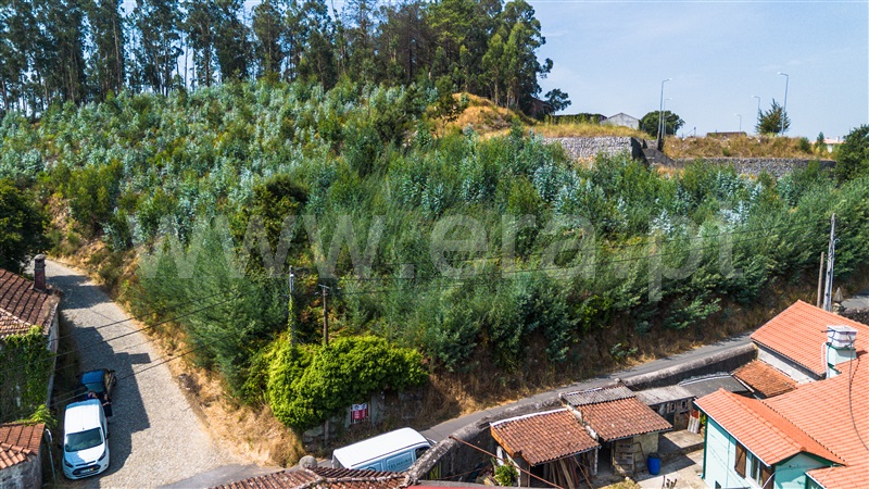 Terreno para Construção  Viana do Castelo, Barroselas e Carvoeiro - 1496009 - 8