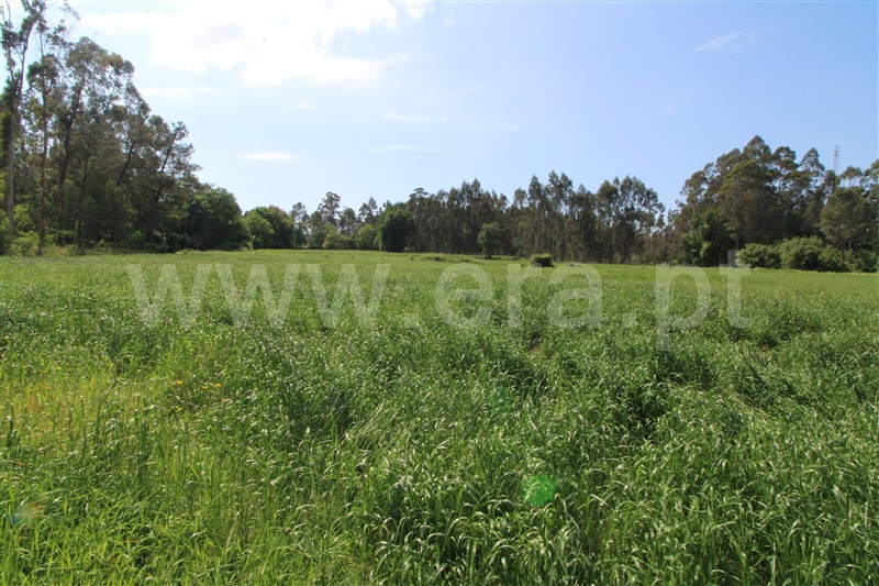 Terreno para Construção  Viana do Castelo, Barroselas - 1165817 - 3