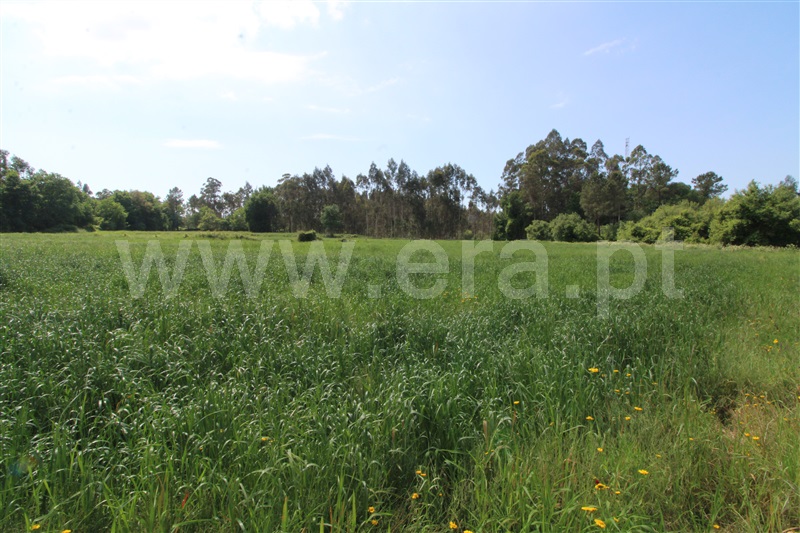 Terreno para Construção  Viana do Castelo, Barroselas - 1165817 - 5