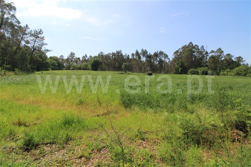 Terreno para Construção  Viana do Castelo, Barroselas - 1165817 - 6
