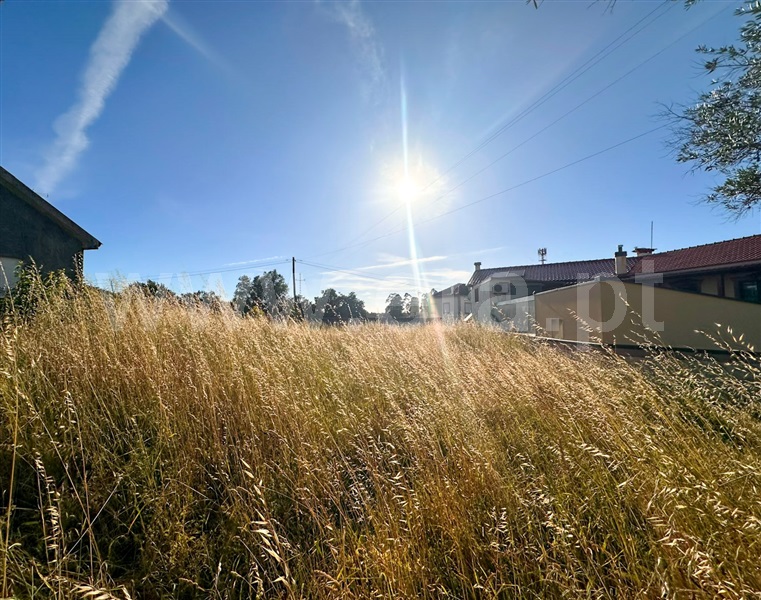 Terreno para Construção / Viana do Castelo, Barroselas