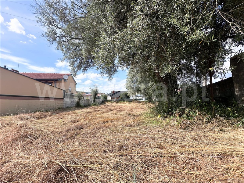 Terreno para Construção / Viana do Castelo, Barroselas
