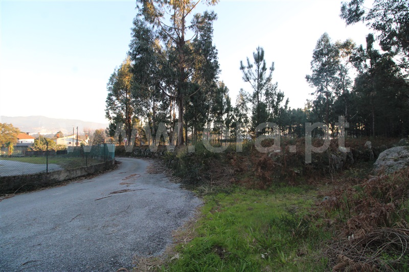 Terreno para Construção / Viana do Castelo, Cardielos