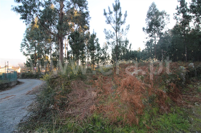 Lote Industrial  Viana do Castelo, Cardielos - 1301486 - 2