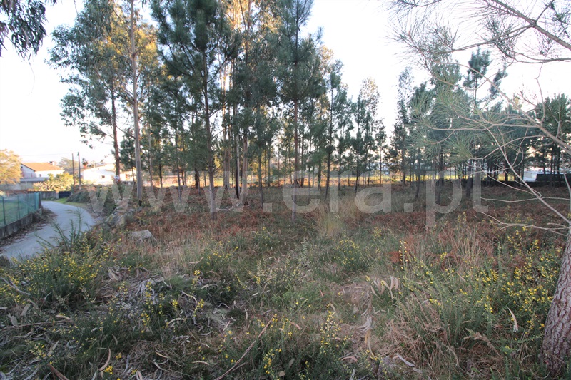 Lote Industrial  Viana do Castelo, Cardielos - 1301486 - 3