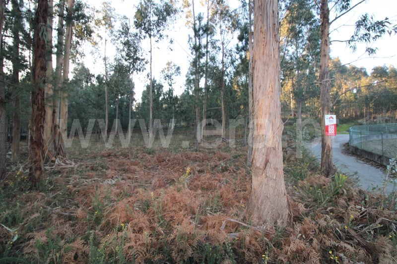 Lote Industrial  Viana do Castelo, Cardielos - 1301486 - 7