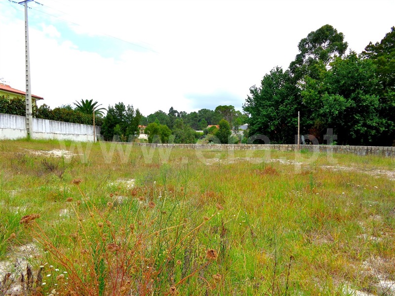Terreno para Construção / Viana do Castelo, Cardielos