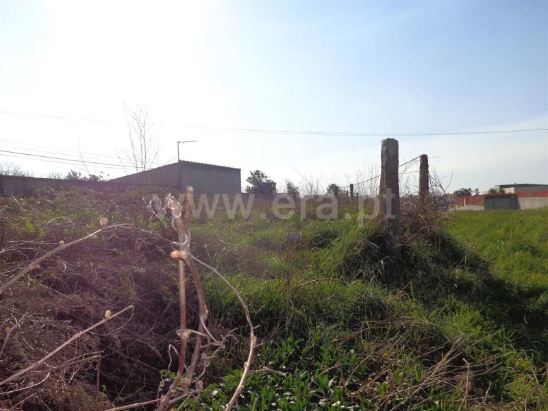 Terreno para Construção  Viana do Castelo, Chafé - 635236 - 4