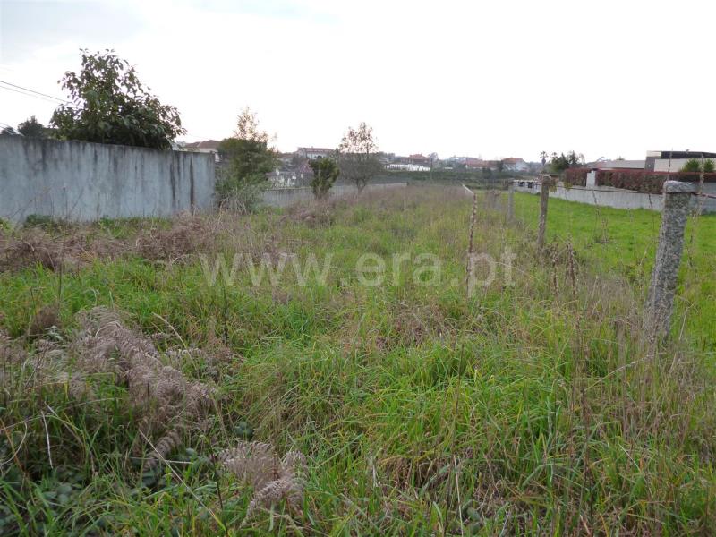 Terreno para Construção / Viana do Castelo, Chafé