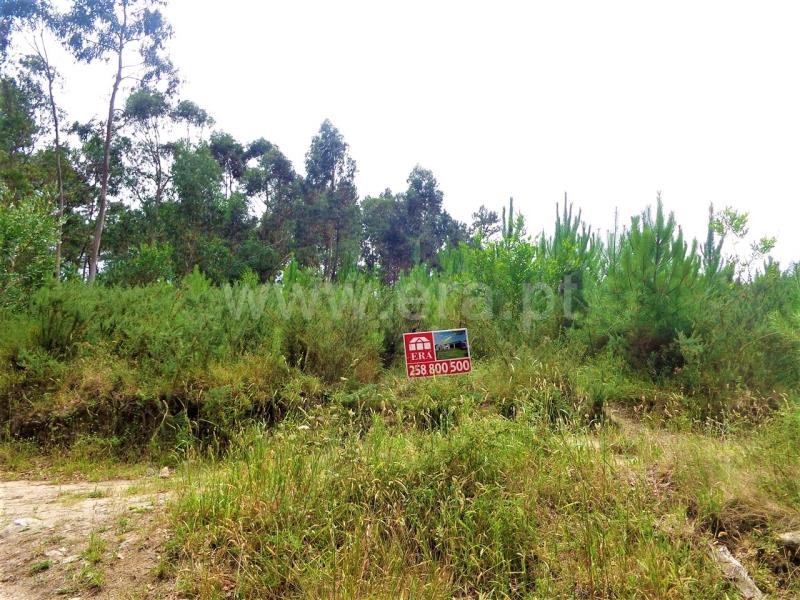 Terreno para Construção  Viana do Castelo, Chafé - 659337 - 1