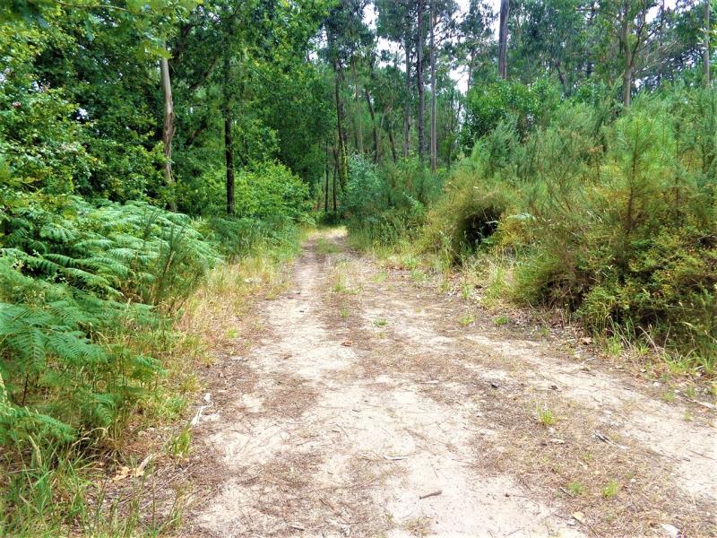 Terreno para Construção  Viana do Castelo, Chafé - 659337 - 2