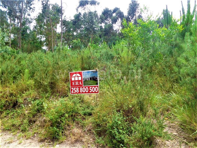 Terreno para Construção  Viana do Castelo, Chafé - 659337 - 4