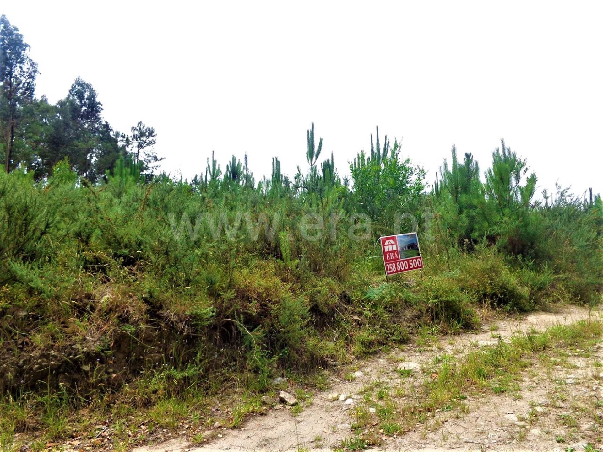 Land for sale in Viana do Castelo, Portugal — €57,500