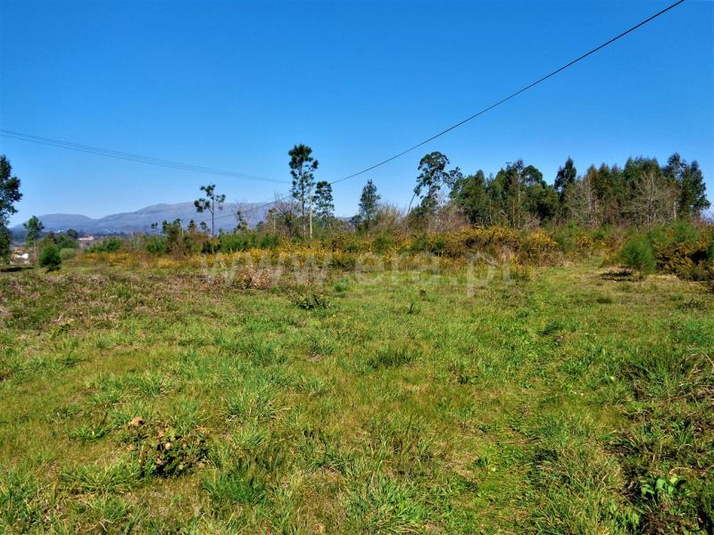 Terreno para Construção  Viana do Castelo, Geraz do Lima (Santa Maria, Santa Leocádia e Moreira) e Deão - 784617 - 3