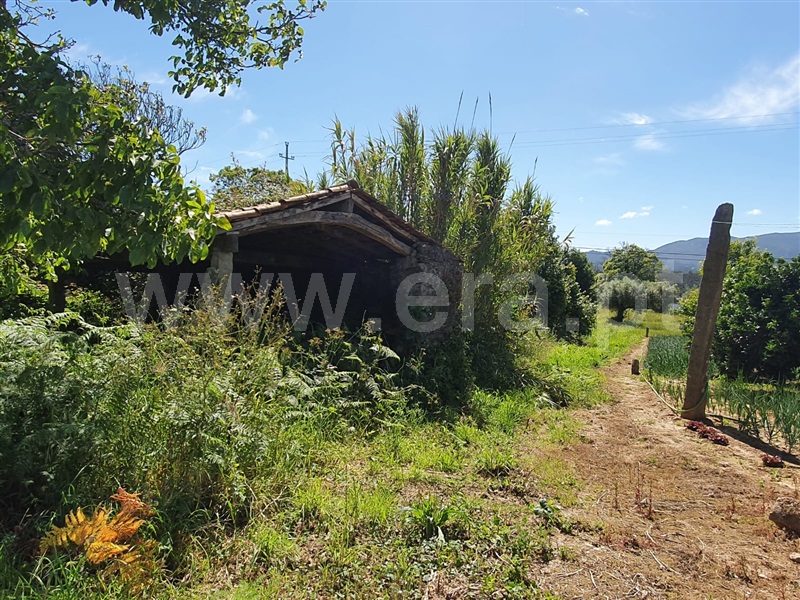 Terreno para Construção  Viana do Castelo, Lanheses - 1142835 - 3