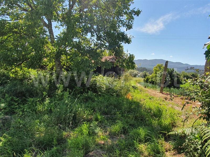 Terreno para Construção  Viana do Castelo, Lanheses - 1142835 - 4
