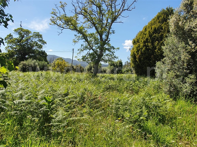 Terreno para Construção  Viana do Castelo, Lanheses - 1142835 - 5