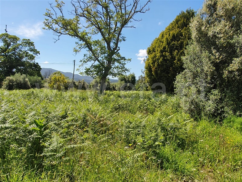 Terreno para Construção  Viana do Castelo, Lanheses - 1142835 - 6