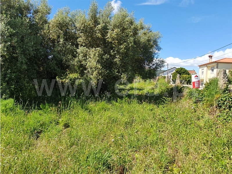 Terreno para Construção  Viana do Castelo, Lanheses - 1142835 - 8