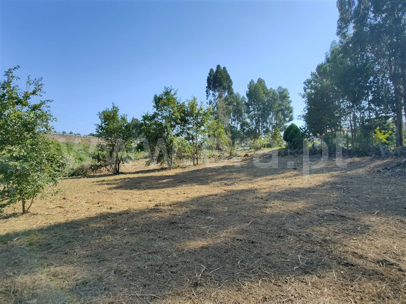 Terreno para Construção  Viana do Castelo, Mazarefes - 1311322 - 5