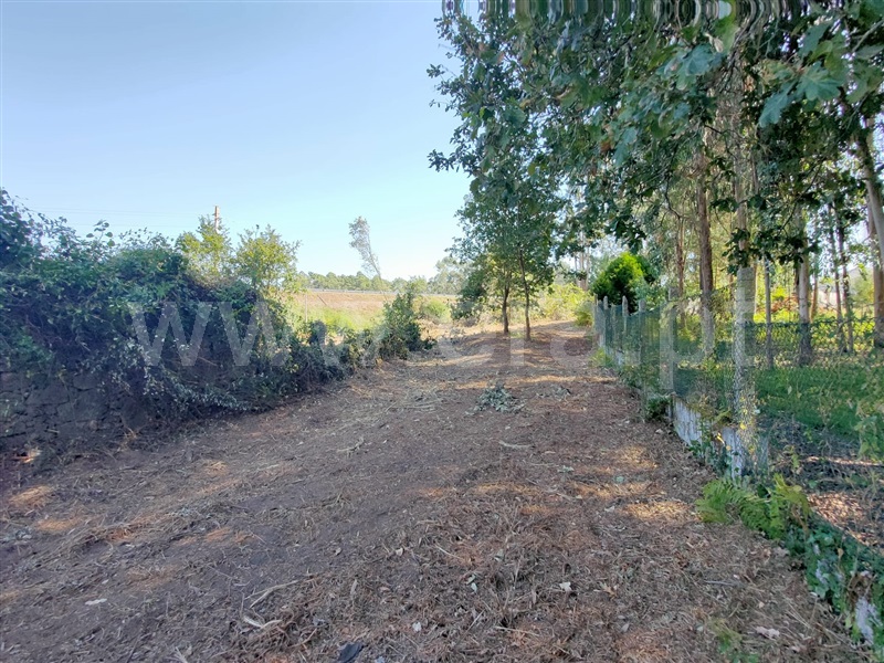 Terreno para Construção  Viana do Castelo, Mazarefes - 1311322 - 6