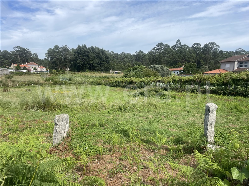 Terreno  Viana do Castelo, Mazarefes e Vila Fria - 1423944 - 3