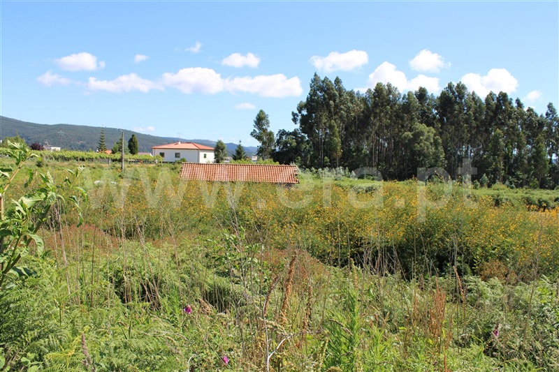 Terreno para Construção  Viana do Castelo, Mujães - 1016878 - 4