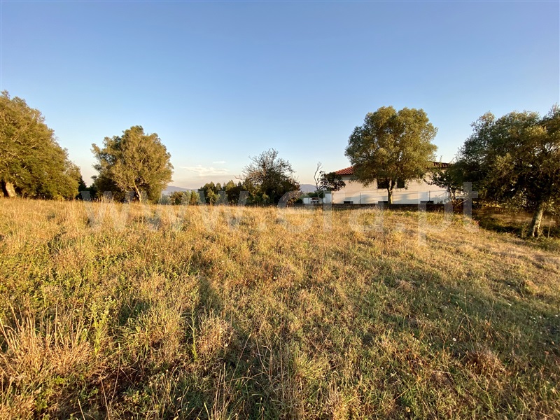 Terreno para Construção  Viana do Castelo, Nogueira - 1117472 - 5