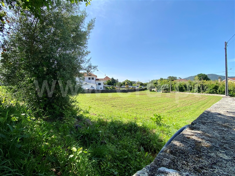 Terreno para Construção  Viana do Castelo, Nogueira, Meixedo e Vilar de Murteda - 1251526 - 4