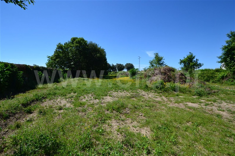 Terreno para Construção / Viana do Castelo, Santa Marta de Portuzelo