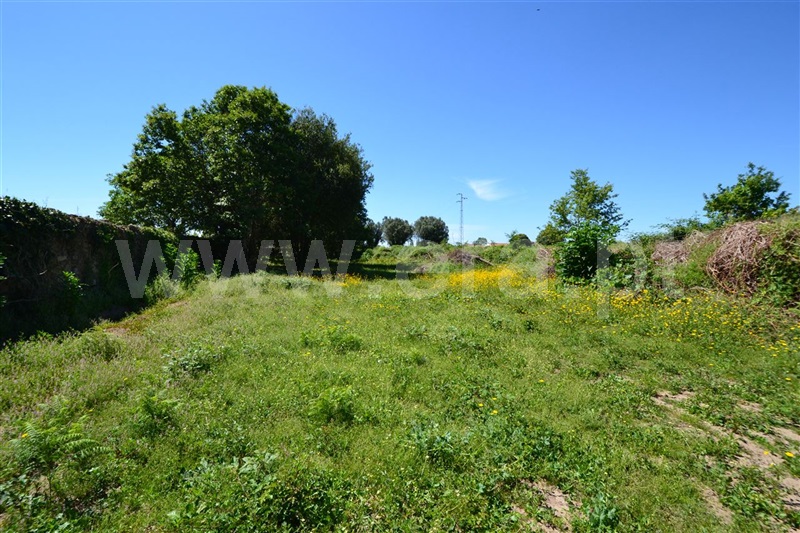 Terreno  Viana do Castelo, Santa Marta de Portuzelo - 1020260 - 7