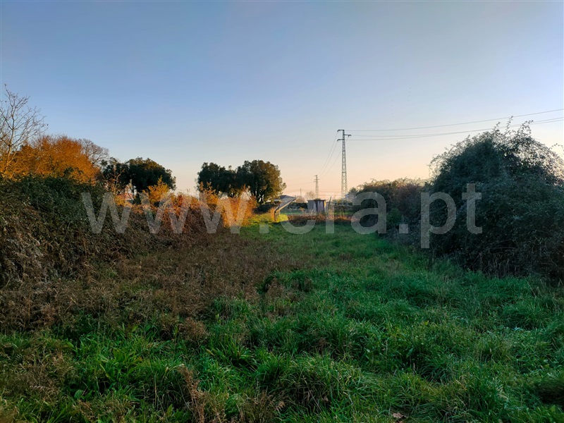 Terreno para Construção  Viana do Castelo, Santa Marta de Portuzelo - 1140764 - 5