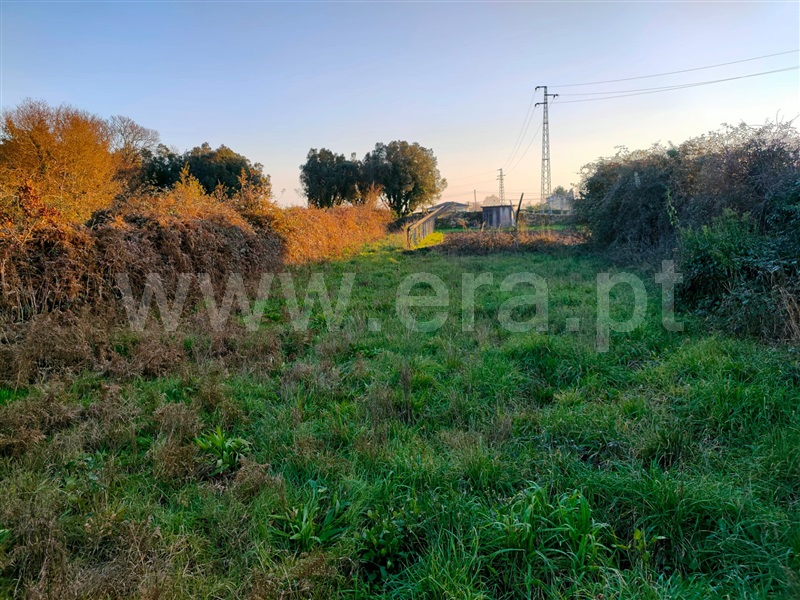 Terreno para Construção  Viana do Castelo, Santa Marta de Portuzelo - 1140764 - 6